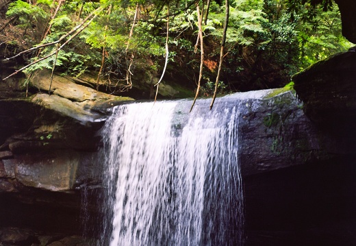 Cumberland Falls in June, 2010